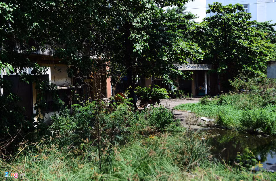 Phần lớn diện tích khu đất hiện là bãi cỏ thường bị ngập nước nằm bên cạnh khu dân cư và dãy nhà xưởng.