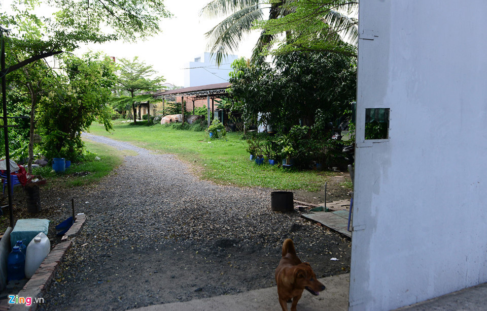 Bên trong cây cối khá rậm rạm, một số thiết bị máy móc bị cỏ leo bao trùm, cánh cửa thỉnh thoảng mở, có người ra vào.