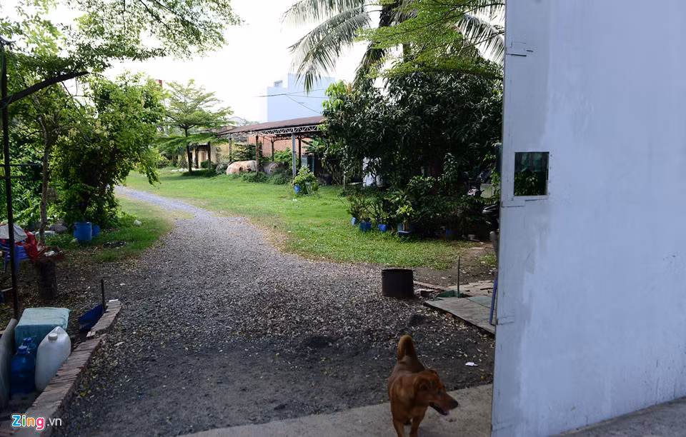 Bên trong cây cối khá rậm rạm, một số thiết bị máy móc bị cỏ leo bao trùm, cánh cửa thỉnh thoảng mở, có người ra vào.