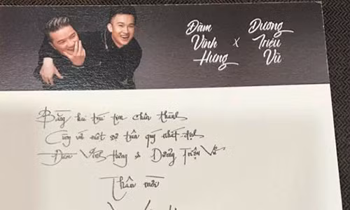 Duong Trieu Vu len tieng ve tam thiep gay soc voi Mr Dam