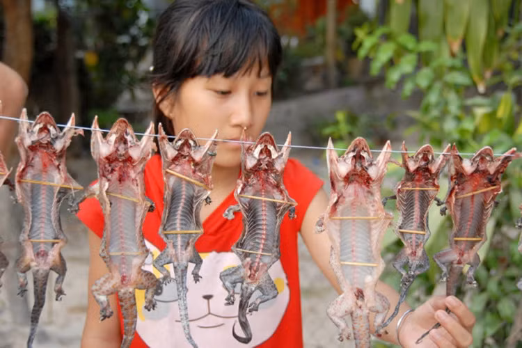 Tác kè phơi khô bày bán ở chợ Tịnh Biên,