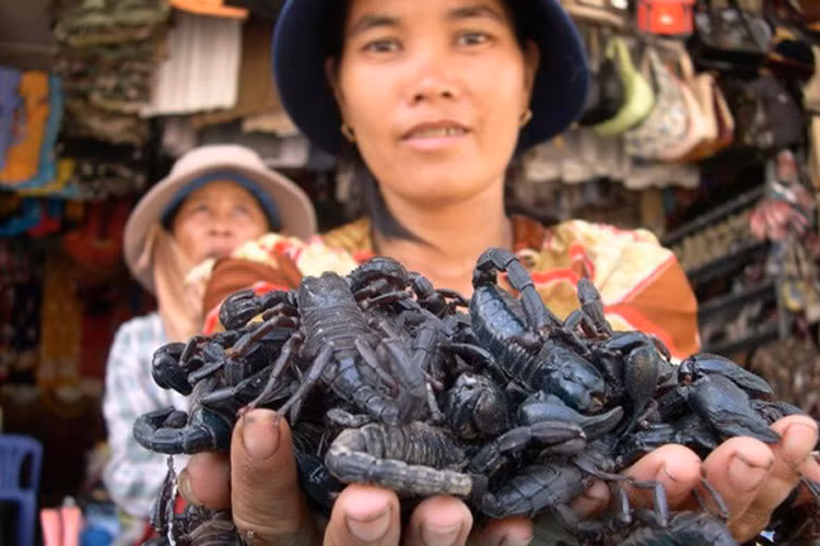  Chợ bán hàng độc - Chợ biên giới Tịnh Biên - An Giang được biết đến là một chợ côn trùng, bởi hàng hóa nơi đây rất nhiều là các loại “hàng độc” như mối chúa, rết, bò cạp, tắc kè, nhện hùm… (Ảnh: Zing)