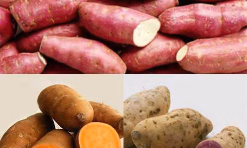 Thuc pham ngua ung thu hieu qua o Viet Nam co day