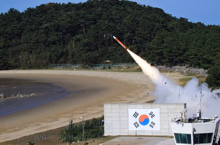 Hiện, Hàn Quốc có trong biên chế 6 khẩu đội tên lửa phòng không Patriot PAC-2 đã được nâng cấp lên chuẩn GEM/T (GEM là viết tắt của cụm từ guidance enhanced missiles - nghĩa là tên lửa có điều khiển mở rộng; còn T là viết tắt cụm từ track-via-missile” - bám theo đạn tên lửa).