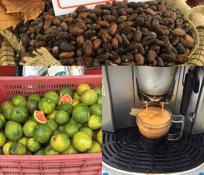 Những thực phẩm độc lạ này đang được bày bán tại một hội chợ giới thiệu quảng bá hàng nông sản Việt ở Công viên Thống Nhất Hà Nội.