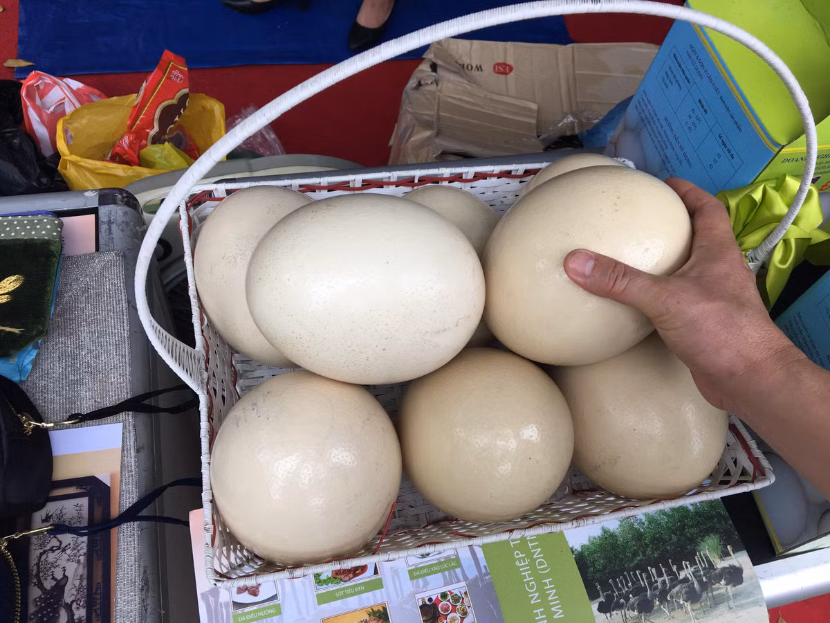 Những quả trứng đà điểu khổng lồ cũng là loại thực phẩm thu hút được sự chú ý của nhiều người khi tham quan hội chợ.