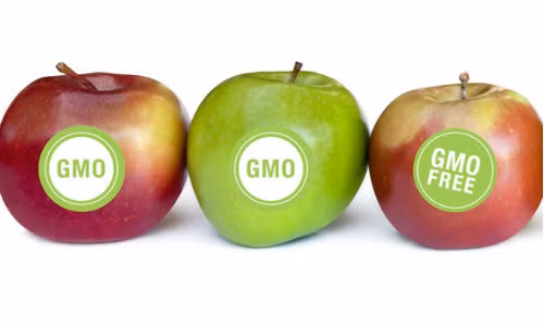 Từ ngày 08/01/2016 thực phẩm biến đổi gen lưu thông tại Việt Nam sẽ phải ghi nhãn biến đổi gen trên bao bì. Vì thế khi chọn mua thực phẩm bạn có thể quan sát và chọn lựa thực phẩm phù hợp mục đích sử dụng theo nhãn mác được ghi. Ảnh: Tieudungplus.