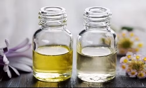 Chữa bệnh với tinh dầu vỏ bưởi: Theo Đông y, tinh dầu vỏ bưởi có vị đắng, cay, thơm, tính bình, có tác dụng trừ phong, hóa đờm, tiêu báng tích, tiêu phù thủng. Ảnh: Trirungtoc.