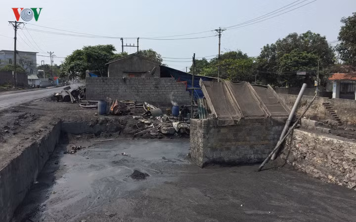 Một số đơn vị sẽ đứng ra thu mua số than này.