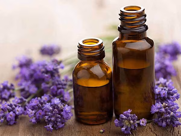 Dầu hoa oải hương cũng là loại dược liệu giúp giảm đau. Cách làm cực kỳ đơn giản bạn có thể nhỏ 1-2 giọt dầu oải hương vào khăn tay và hít hà hoặc nhỏ 3-4 giọt dầu oải hương vào bát nước nóng để xông mũi.