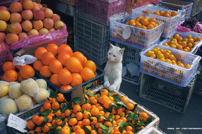  Không cầu kỳ, không bóng bẩy... những gì Tao Liu chụp chính là những thứ con mắt anh nhìn thấy. 