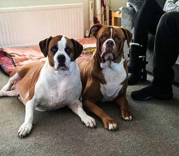 Thay nha ben la het, hang xom voi chay sang chung kien canh tuong xot xa