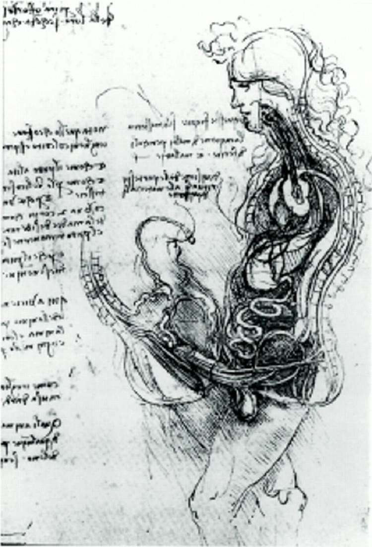 Hinh anh khi lam 'chuyen ay' trong may chup cong huong tu-Hinh-2