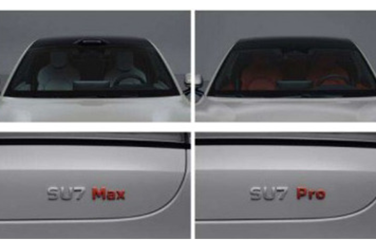 Bản RWD dùng 1 mô-tơ điện nằm trên cầu sau, tạo ra công suất tối đa 295 mã lực. Trong khi đó, bản AWD có thêm mô-tơ điện mạnh 369 mã lực trên cầu trước, cho sức mạnh tổng cộng 664 mã lực. Bản RWD có trọng lượng 1.980 kg và vận tốc tối đa 210 km/h. Hai con số tương ứng của bản AWD là 2.205 kg và 265 km/h.