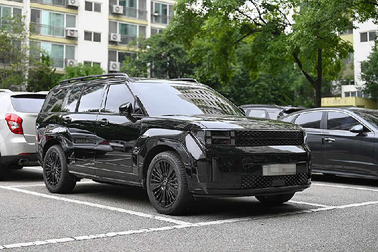 Hệ thống âm thanh Bose và 2 sạc điện thoại không dây lần đầu tiên được áp dụng trên SantaFe. Dự kiến, xe sẽ ra mắt vào tháng 8 tới tại quê nhà Hàn Quốc. Mức giá xe Hyunda SantaFe 2024 hiện chưa được công bố cụ thể cho các phiên bản.