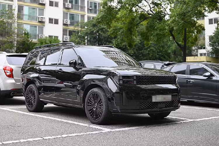 Hệ thống âm thanh Bose và 2 sạc điện thoại không dây lần đầu tiên được áp dụng trên SantaFe. Dự kiến, xe sẽ ra mắt vào tháng 8 tới tại quê nhà Hàn Quốc. Mức giá xe Hyunda SantaFe 2024 hiện chưa được công bố cụ thể cho các phiên bản.