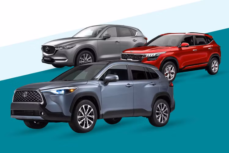 Trong khi đó, các dòng xe gầm thấp như sedan, hatchback hay cả MPV… sẽ cực kỳ hạn chế ở những loại đường này. Bên cạnh đó, dòng SUV/CUV còn có không gian nội thất rộng hơn và trần xe cao, thoáng hơn so với những mẫu xe gầm thấp như sedan hay hatchback.