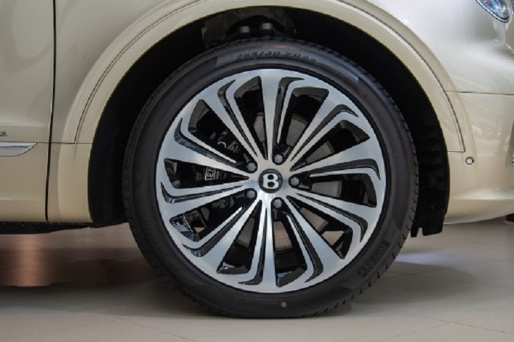 Xe được trang bị ghế bọc da cao cấp hoạ tiết kim cương, đèn nền chiếu sáng điều chỉnh theo tâm trạng, hệ thống sưởi vô lăng và hỗ trợ đánh lái điện tử…