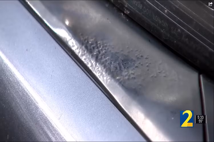 Tuy nhiên, gia đình Goldbergs không chấp nhận câu trả lời từ đại lý và họ đã nộp đơn khiếu nại chiếc Civic kém chất lượng lên văn phòng Honda.