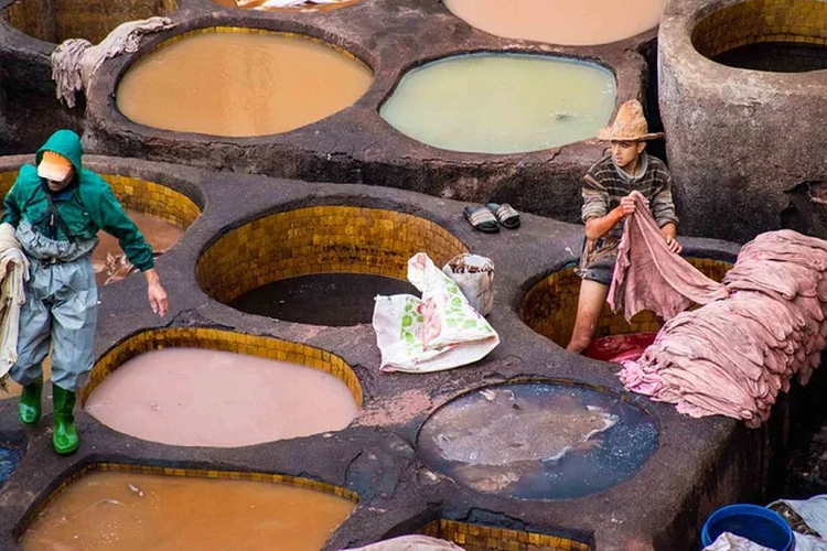 Ngoài điện khí hoá các sản phẩm của mình, các nhà sản xuất ôtô còn có xu hướng lựa chọn da thuần chay vì họ tin rằng loại chất liệu này thân thiện với môi trường hơn so với da thật.