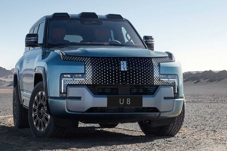 Về YangWang U8, xe được chia thành phiên bản cao cấp và phiên bản dành cho người chơi địa hình, hai phiên bản khác nhau ở các chi tiết đầu xe, cả hai đều sử dụng lưới tản nhiệt rất dễ nhận biết. Phiên bản dành cho người chơi địa hình được cải tiến hơn, nhằm giúp nó có thể bảo vệ phần đầu xe tốt hơn khỏi va chạm trong môi trường off-road.