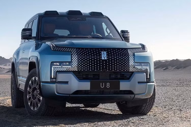 Về YangWang U8, xe được chia thành phiên bản cao cấp và phiên bản dành cho người chơi địa hình, hai phiên bản khác nhau ở các chi tiết đầu xe, cả hai đều sử dụng lưới tản nhiệt rất dễ nhận biết. Phiên bản dành cho người chơi địa hình được cải tiến hơn, nhằm giúp nó có thể bảo vệ phần đầu xe tốt hơn khỏi va chạm trong môi trường off-road.