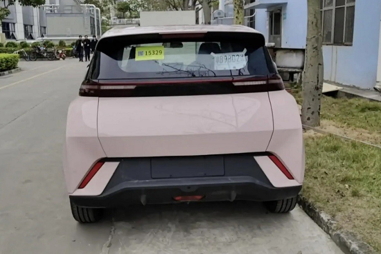 Tại thị trường Trung Quốc, BYD Seagull sẽ có ít nhất 3 phiên bản là tiêu chuẩn, Q và Mini. Xe sở hữu mô-tơ điện có công suất tối đa chỉ 55 kW (khoảng 75 mã lực). Trong khi đó, cụm pin lithium sắt photphat (LFP) do công ty con FinDreams của BYD sản xuất sẽ có dung lượng 30,7 kWh.