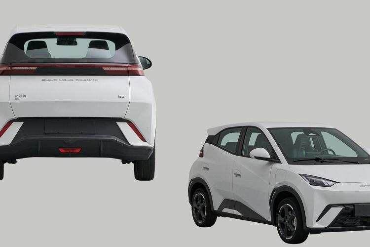 Xe ôtô điện đô thị cỡ nhỏ và giá rẻ hiện khá được ưa chuộng tại thị trường Trung Quốc nhờ sự thành công của Wuling Hongguang Mini EV. Với việc Seagull được bán ra thị trường, BYD dự kiến sẽ tiếp tục có một năm gặt hái thành công về mặt doanh số. Trong năm 2022, BYD đã bán tổng cộng 911.410 chiếc ô tô điện cho khách hàng toàn cầu, tăng trưởng đến 184% và chỉ đứng sau Tesla.