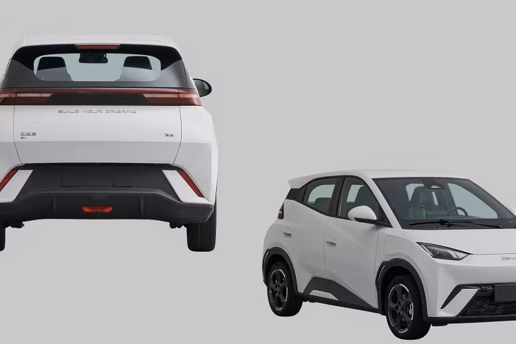 Xe ôtô điện đô thị cỡ nhỏ và giá rẻ hiện khá được ưa chuộng tại thị trường Trung Quốc nhờ sự thành công của Wuling Hongguang Mini EV. Với việc Seagull được bán ra thị trường, BYD dự kiến sẽ tiếp tục có một năm gặt hái thành công về mặt doanh số. Trong năm 2022, BYD đã bán tổng cộng 911.410 chiếc ô tô điện cho khách hàng toàn cầu, tăng trưởng đến 184% và chỉ đứng sau Tesla.