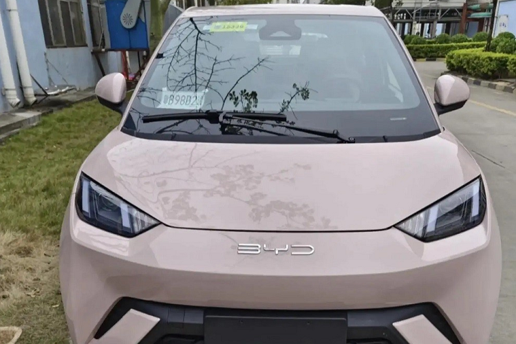 Đằng sau BYD Seagull xuất hiện cụm đèn hậu nằm vắt ngang đuôi xe, dòng chữ "Build Your Dream" giữa cửa cốp, cản sau sơn 2 màu, tích hợp bộ khuếch tán gió giả và 2 đèn phản quang nằm dọc. Bên trên còn có cánh gió mui khá lớn, đi kèm đèn phanh thứ ba.