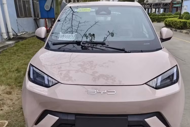 Đằng sau BYD Seagull xuất hiện cụm đèn hậu nằm vắt ngang đuôi xe, dòng chữ "Build Your Dream" giữa cửa cốp, cản sau sơn 2 màu, tích hợp bộ khuếch tán gió giả và 2 đèn phản quang nằm dọc. Bên trên còn có cánh gió mui khá lớn, đi kèm đèn phanh thứ ba.