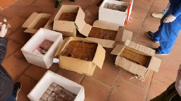 Chủ tịch xã lĩnh án 3 năm tù giam vì nấu cao hổ - Hình 2 Chu tich xa linh an 3 nam tu giam vi nau cao ho-Hinh-2