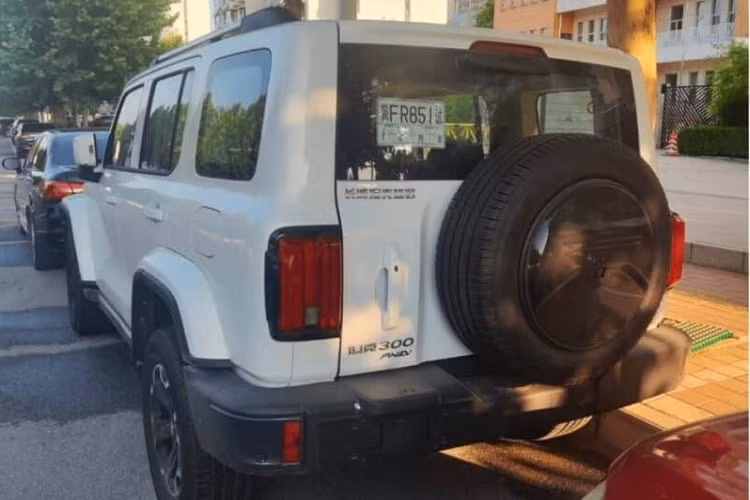 Mặc dù hình ảnh chỉ lộ mặt bên và phía sau, nhưng có thể thấy rằng logo PHEV đã được thêm vào bên dưới dòng chữ Tank 300 cùng với dòng chữ "Great Wall Tank Off-Road" trên đứng đầu, điều này cũng đã để lại dấu hiệu nhận biết rất rõ ràng. 