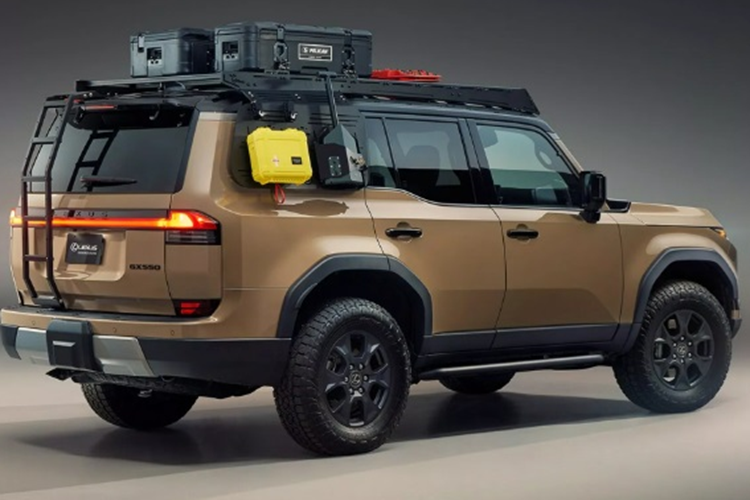 Để nâng cao tính thực dụng cho chiếc xe, Lexus còn có thêm nhiều tùy chọn như: giá nóc, các tấm phụ kiện gắn ở cửa sổ sau và thang của Prinsu được kết hợp với thùng chở hàng BX90R và BX55S của Pelican.