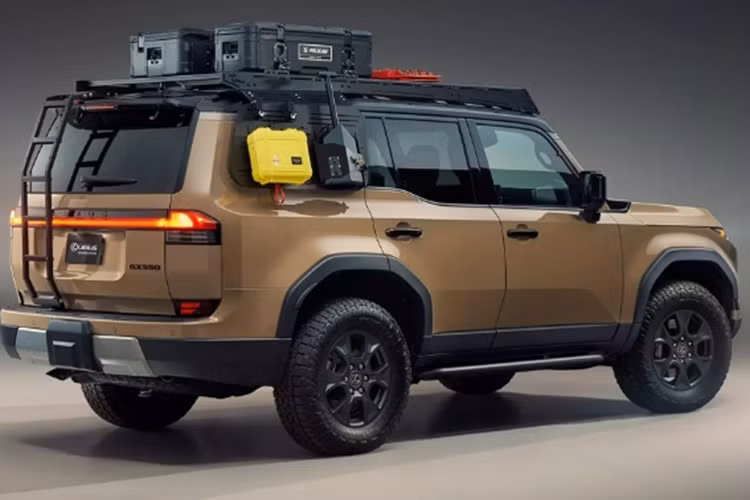 Để nâng cao tính thực dụng cho chiếc xe, Lexus còn có thêm nhiều tùy chọn như: giá nóc, các tấm phụ kiện gắn ở cửa sổ sau và thang của Prinsu được kết hợp với thùng chở hàng BX90R và BX55S của Pelican.