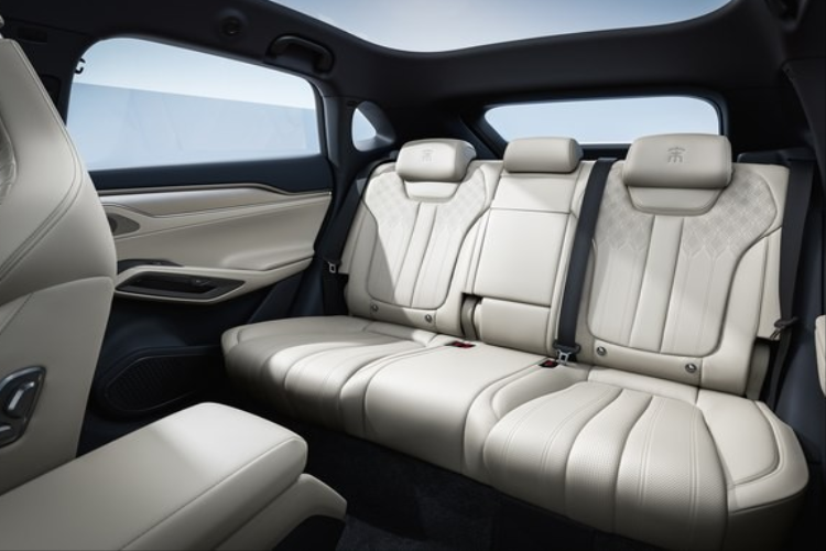 Nhà sản xuất ô tô Thâm Quyến sẽ lắp đặt hệ thống kiểm soát thân xe DiSus. Phiên bản một động cơ đã được đệ trình để phê duyệt bán hàng. Nó có các phiên bản cho ra công suất 150 kW và 230 kW.