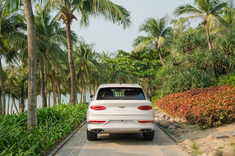 Ngoài ra, xe cũng được bổ sung hệ thống kiểm soát cân bằng chủ động Bentley Dynamic Ride với các thanh cân bằng chủ động sử dụng nguồn điện 48 V.