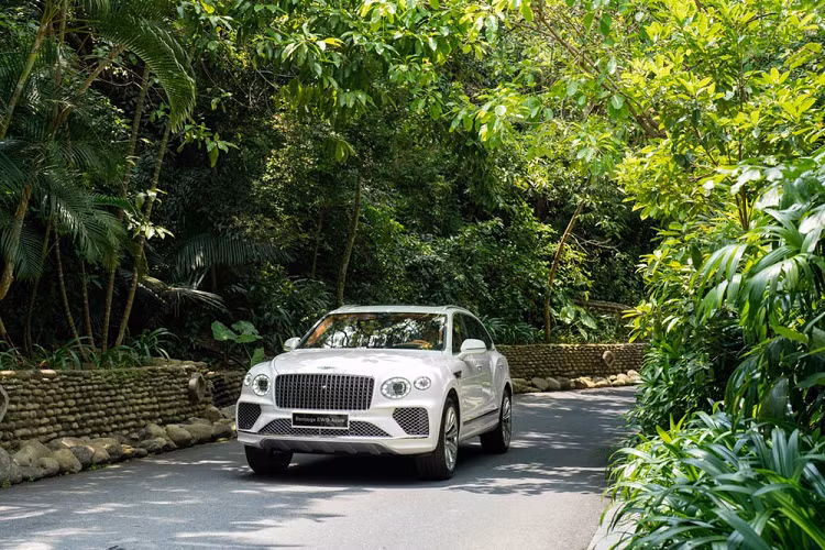 Mẫu xe SUV siêu sang Bentley Bentayga EWB 2023 mới đã chính thức được ra mắt và công bố giá bán chính hãng vào cuối tuần vừa qua. Đây cũng được xem là mẫu xe chủ lực mới trong dải sản phẩm của thương hiệu Bentley tại Việt Nam. 