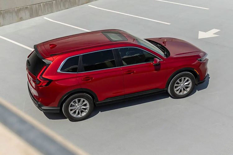 Ngoại hình xe với lưới tản nhiệt lục giác cỡ lớn sơn màu đen bóng, đèn pha LED thanh mảnh, dải đèn LED định vị ban ngày kiêm đèn báo rẽ tuần tự, đèn sương mù LED, vành 18 inch hoặc 19 inch, cửa sổ trời toàn cảnh Panorama chỉnh điện, anten vây cá mập, cụm đèn hậu hình chữ "L", 2 đầu ống xả giả bằng thép không gỉ và cửa cốp đóng/mở chỉnh điện...