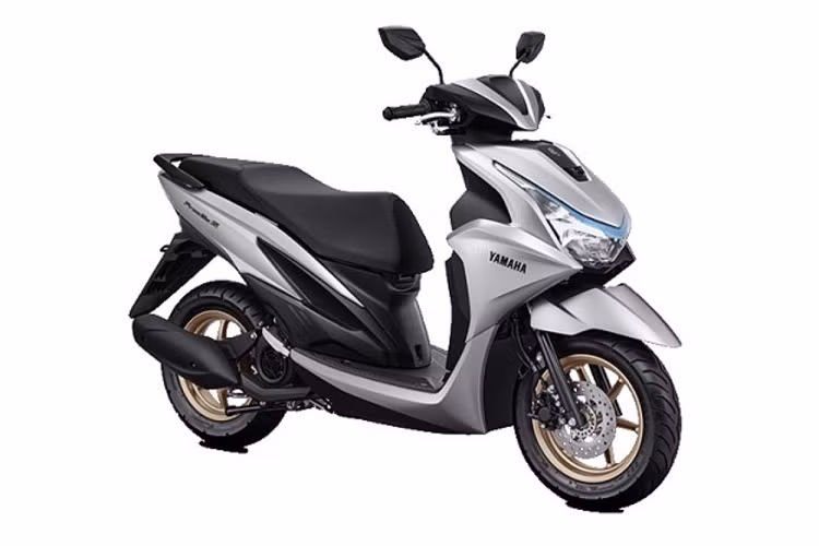 Xuất hiện lần đầu tiên tại Việt Nam từ năm 2019, dù nhận được khá nhiều sự quan tâm từ người dùng nhưng mẫu xe này chưa từng được nâng cấp lần nào. Ở thị trường Indonesia, xe có 2 phiên bản là Tiêu chuẩn và S. Lần trở lại này, FreeGo sở hữu thiết kế thể thao, thời trang với những đường nét góc cạnh, dứt khoát.