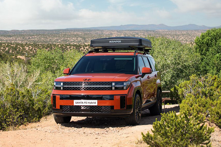 Ở một số thị trường khác, xe có thêm động cơ xăng 4 xi-lanh, hút khí tự nhiên, dung tích 2.5L với công suất tối đa 191 mã lực. Hiện giá xe Hyundai SantaFe 2024 vẫn chưa được công bố. Khi mua mẫu xe này, khách hàng có thể chọn 1 trong 9 màu sắc ngoại thất, trong đó có cả xanh lá Ocado Green Pearl và cam đậm Terracotta Orange.