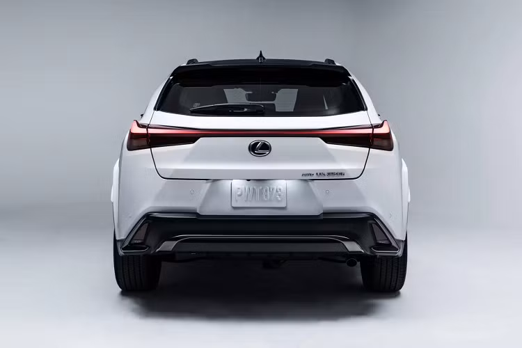 Lexus UX 250h 2024 trang bị dẫn động cầu trước tiêu chuẩn. Khách hàng muốn có thêm độ bám đường có thể nâng cấp hệ dẫn động bốn bánh toàn thời gian AWD với giá 1.400 USD. Theo đó, hãng xe Nhật Bản sẽ bổ sung động cơ điện đặt phía sau, hỗ trợ lực kéo khi cần thiết. Danh mục tùy chọn của Lexus UX 250h 2024 có thêm tính năng đá cốp rảnh tay với mức phí nâng cấp từ 550 USD. Đi kèm với tính năng này còn có bộ sạc điện thoại không dây có giá 75 USD.