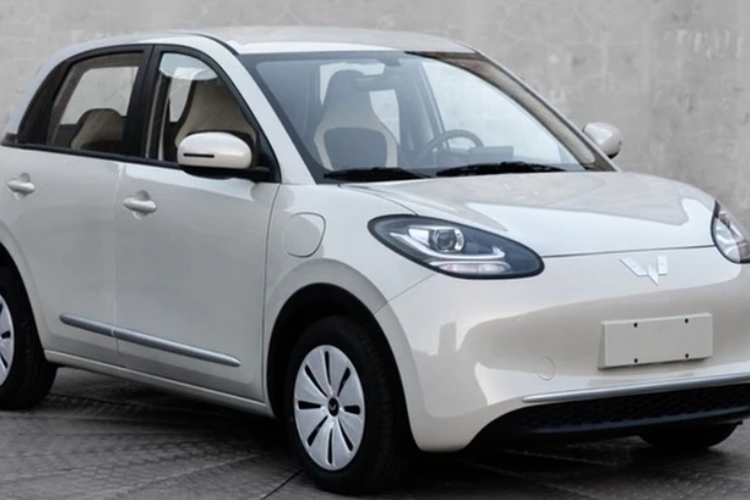 Ra mắt tại Đông Nam Á, Wuling Bingo EV được trang bị mâm hợp kim 15 inch, đèn trước/sau LED. Nội thất có ghế da tổng hợp, ghế lái chỉnh điện 6 hướng, điều hòa tự động một vùng, cụm màn hình gồm đồng hồ điện tử nối liền màn hình giải trí và đều có kích cỡ 10,25 inch.