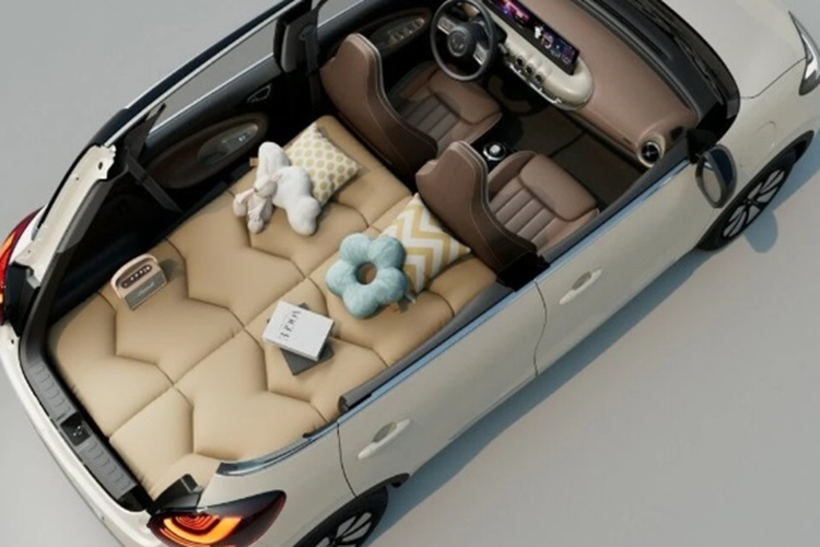 Sau một lần sạc đầy pin, phiên bản Long Range có thể chạy được 333 km trong khi con số tương ứng của bản Premium Range là 410 km. Cả hai loại pin này đều đạt tiêu chuẩn chống nước, chống bụi IP 67.