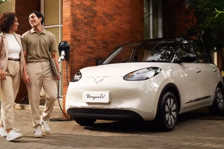 Bingo sở hữu kích thước dài x rộng x cao lần lượt là 3.950 x 1.708 x 1.580 (mm), chiều dài cơ sở đạt 2.560 mm. Với kích thước này, xe được định vị trong phân khúc hatchback hạng A, “chung mâm” với Hyundai i10, Kia Morning.