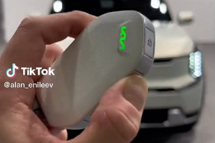 Tổng cộng, mẫu ô tô điện này có 12 màu sắc, bao gồm cả bóng lẫn nhám. Các màu sơn bóng là trắng Snow White Pearl (SWP), xám Panthera Metal (P2M), đen Aurora Black Pearl (ABP), đỏ Flare Red (C7R), xám Pebble Gray (DFG), bạc Ivory Silver (ISG), xanh Ocean Blue (OBG) và xanh lá Iceberg Green (IEG).