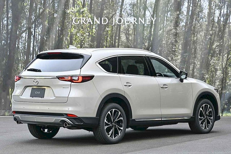 Với sự xuất hiện của CX-80, tương lai của CX-8 bị đặt một dấu chấm hỏi. Từ cuối năm 2022, một số tin đồn cho biết Mazda CX-8 bị khai tử để nhường chỗ cho CX-80. Đến tháng 6 năm nay, thông tin này lại có thêm căn cứ khi một vài trang tin ở Nhật Bản hé lộ CX-8 sẽ bị loại bỏ khỏi danh sách xe phân phối ở thị trường quê nhà từ tháng 8 năm nay. 