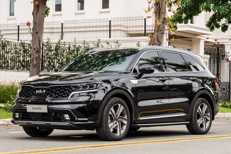 Tại Việt Nam, Kia Sorento hiện là một trong những mẫu xe có nhiều phiên bản nhất cho người mua lựa chọn. Tuy nhiên, giá bán của xe lại khá cao nếu so với những đối thủ như Hyundai Santa Fe hay Mazda CX-8. Đây cũng chính là trở ngại khiến Kia Sorento không thể bứt phá về mặt doanh số.