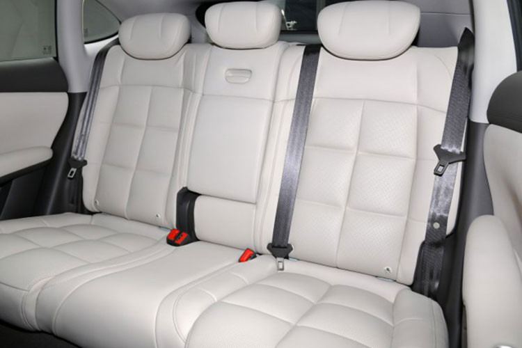 Hệ thống lái xe tự động trong đô thị sẽ bắt đầu thử nghiệm công khai vào cuối năm 2023. IM LS6 có sẵn ở cả hệ dẫn động bốn bánh và dẫn động cầu trước. Phiên bản dẫn động bốn bánh bao gồm động cơ truyền động dựa trên SiC (silicon cacbua) phía trước và phía sau với công suất tổng hợp 579 mã lực và mô-men xoắn tổng hợp 800 Nm.