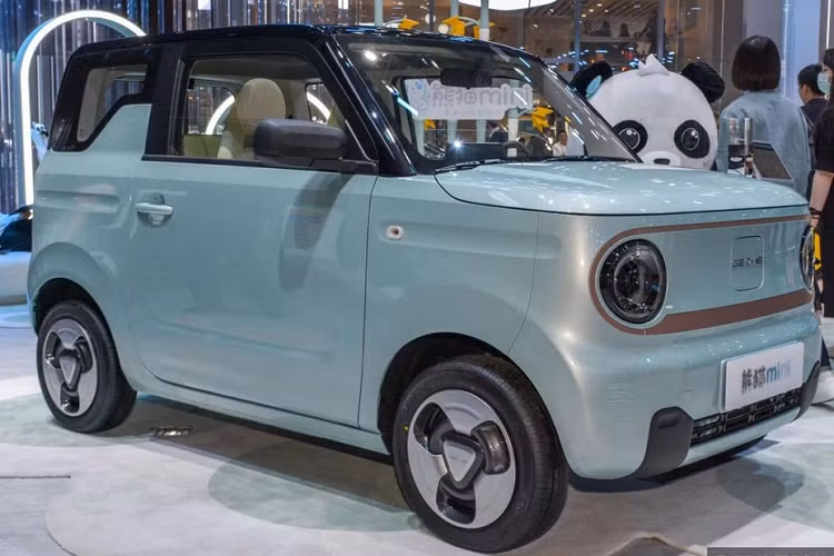 Vào tháng 4 đầu năm nay, chiếc EV cỡ nhỏ đã cung cấp một phiên bản giới hạn có tên Geely Panda Mini Little Yellow Duck Limited Edition, được ra mắt chính thức tại Triển lãm ô tô Thượng Hải 2023 với hai mẫu xe mang tên Happy và Lucky. Các mẫu xe này được chào bán với giá 53.900 nhân dân tệ và 56.900 nhân dân tệ.